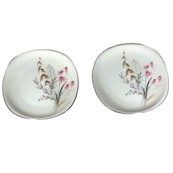 VINTAGE SCHWARZENHAMMER BAVERIA GERMANY FLORAL PLATES - SET OF 2 - Picture 2 of 15